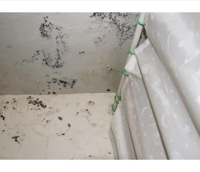 Visible mold growth on ceiling above shower.