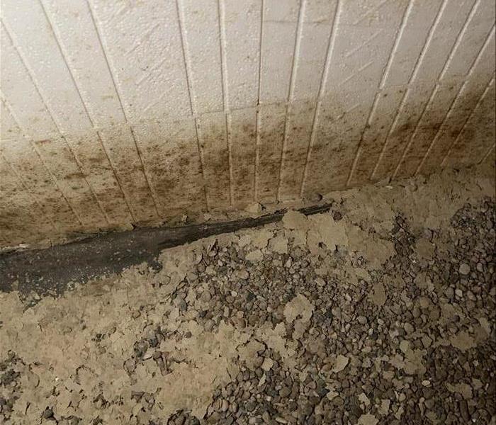 Mold growth on crawl space wall