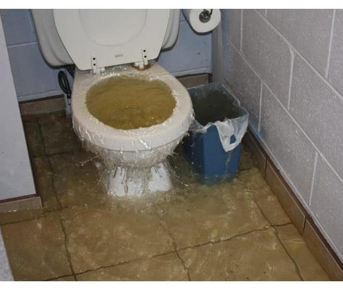 Overflowing toilet