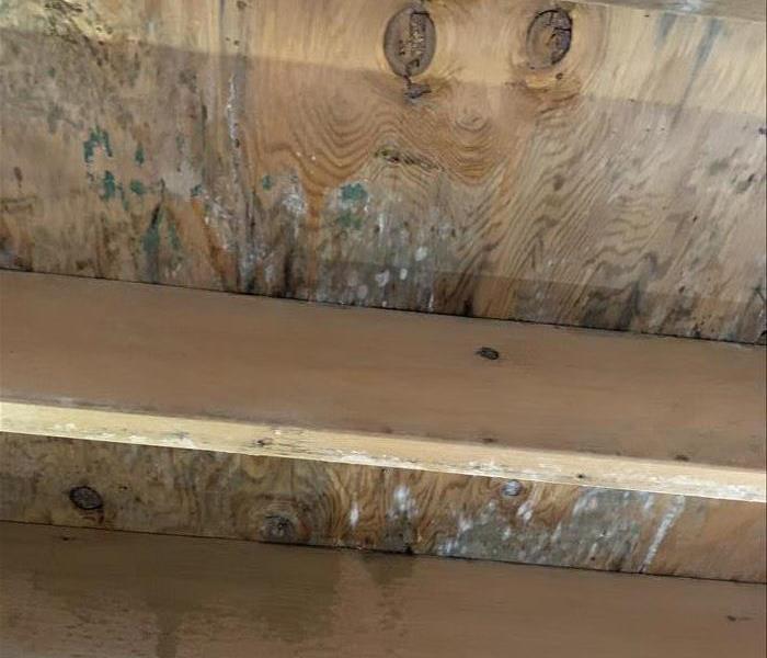 Photo with mold on the wood