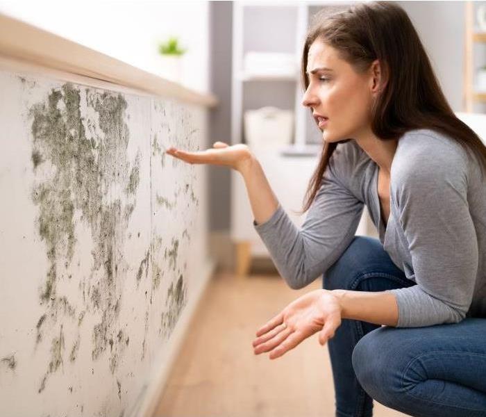 Woman crouching to inspect wall with visible mold growth. 