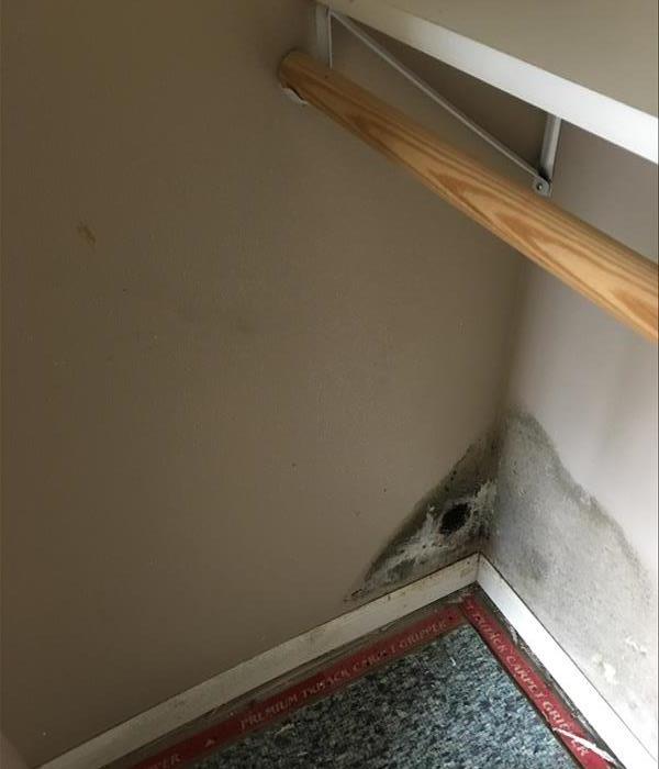 Mold growth in closet